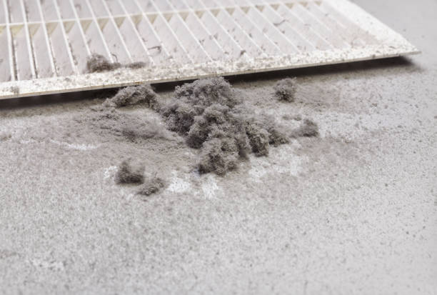 Best HVAC Maintenance and Cleaning  in Tremonton, UT