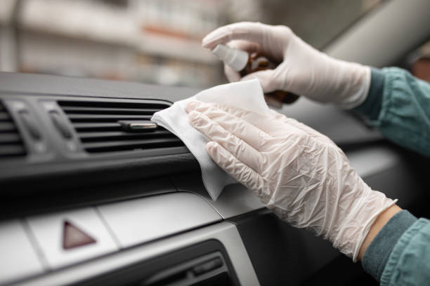 Best Air Duct Mold Removal  in Tremonton, UT